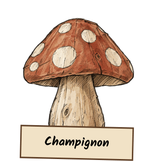 Champignon